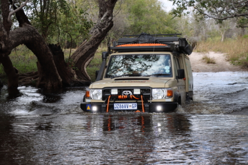 Voetspore Zambezi